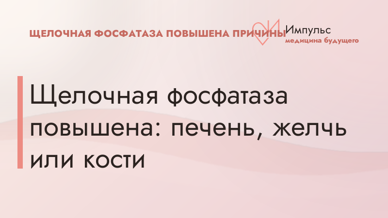 Щелочная фосфатаза повышена: печень, желчь или кости