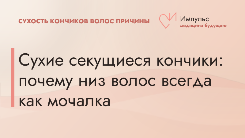 Сухие секущиеся кончики: почему низ волос всегда как мочалка